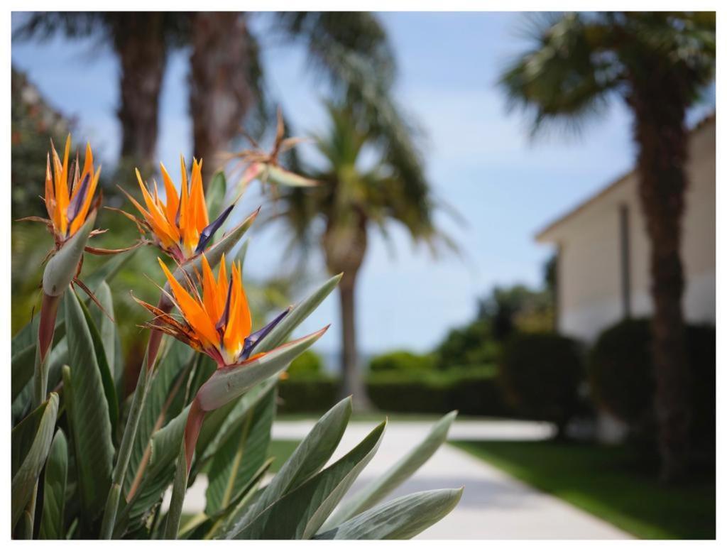 Hotel Villa San Bartolo Vittoria Ngoại thất bức ảnh